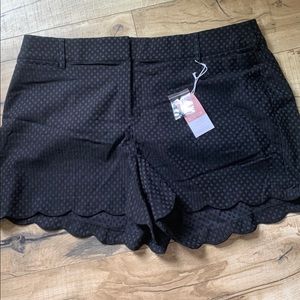 Lane Bryant Black Scallop Shorts Sz 24